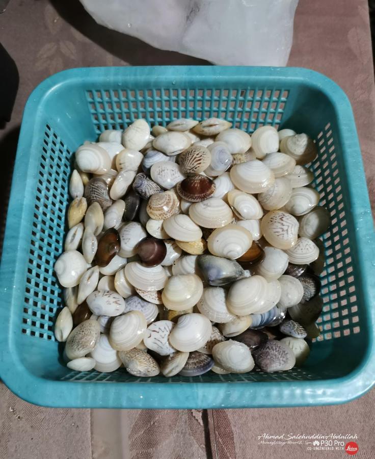 Marang Village Resort Buitenkant foto
